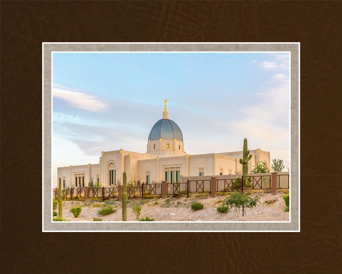 Tucson Peaceful Morning