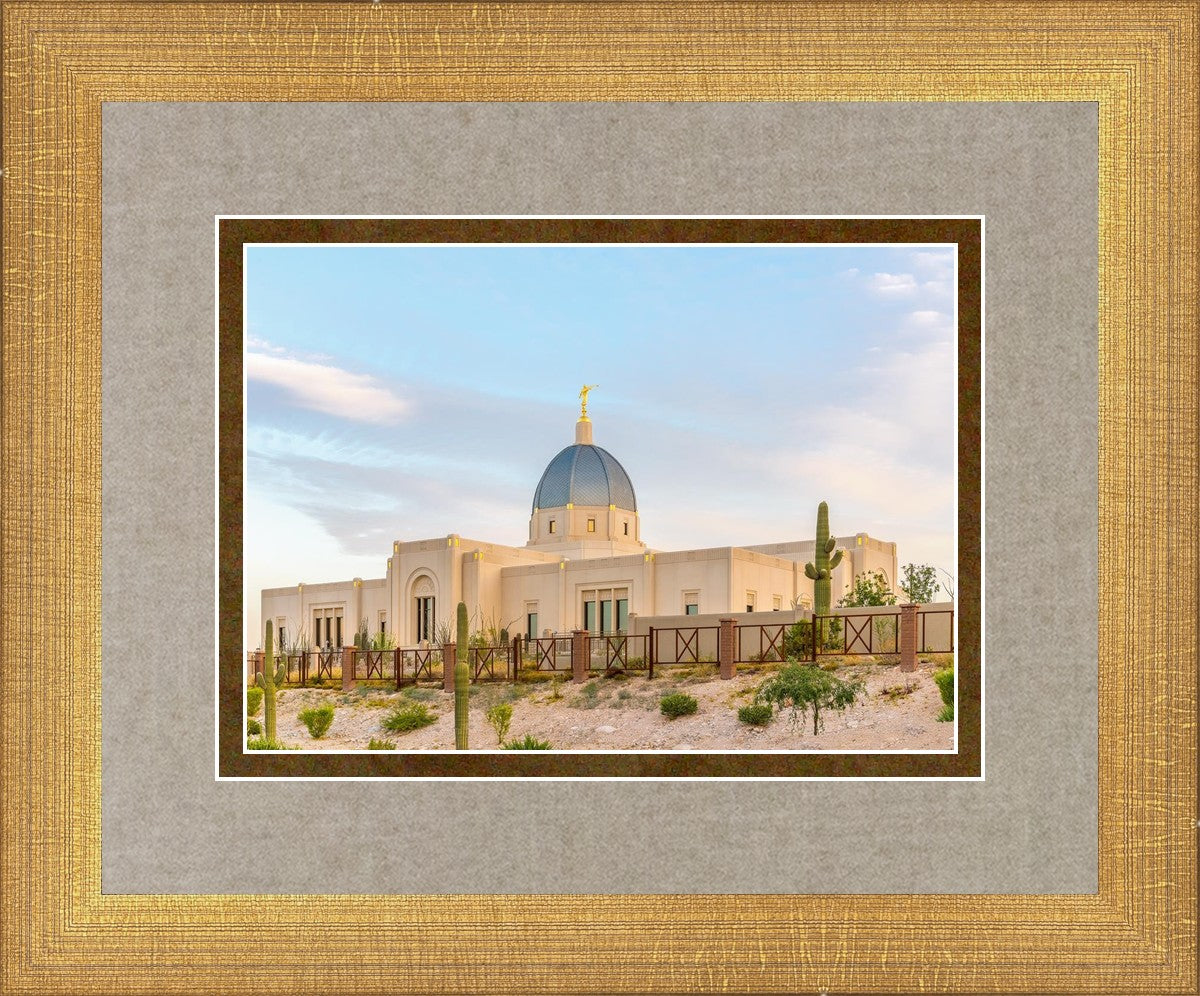 Tucson Peaceful Morning