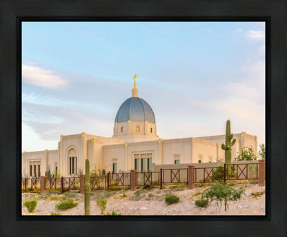 Tucson Peaceful Morning