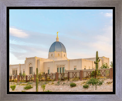 Tucson Peaceful Morning