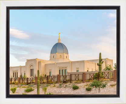 Tucson Peaceful Morning