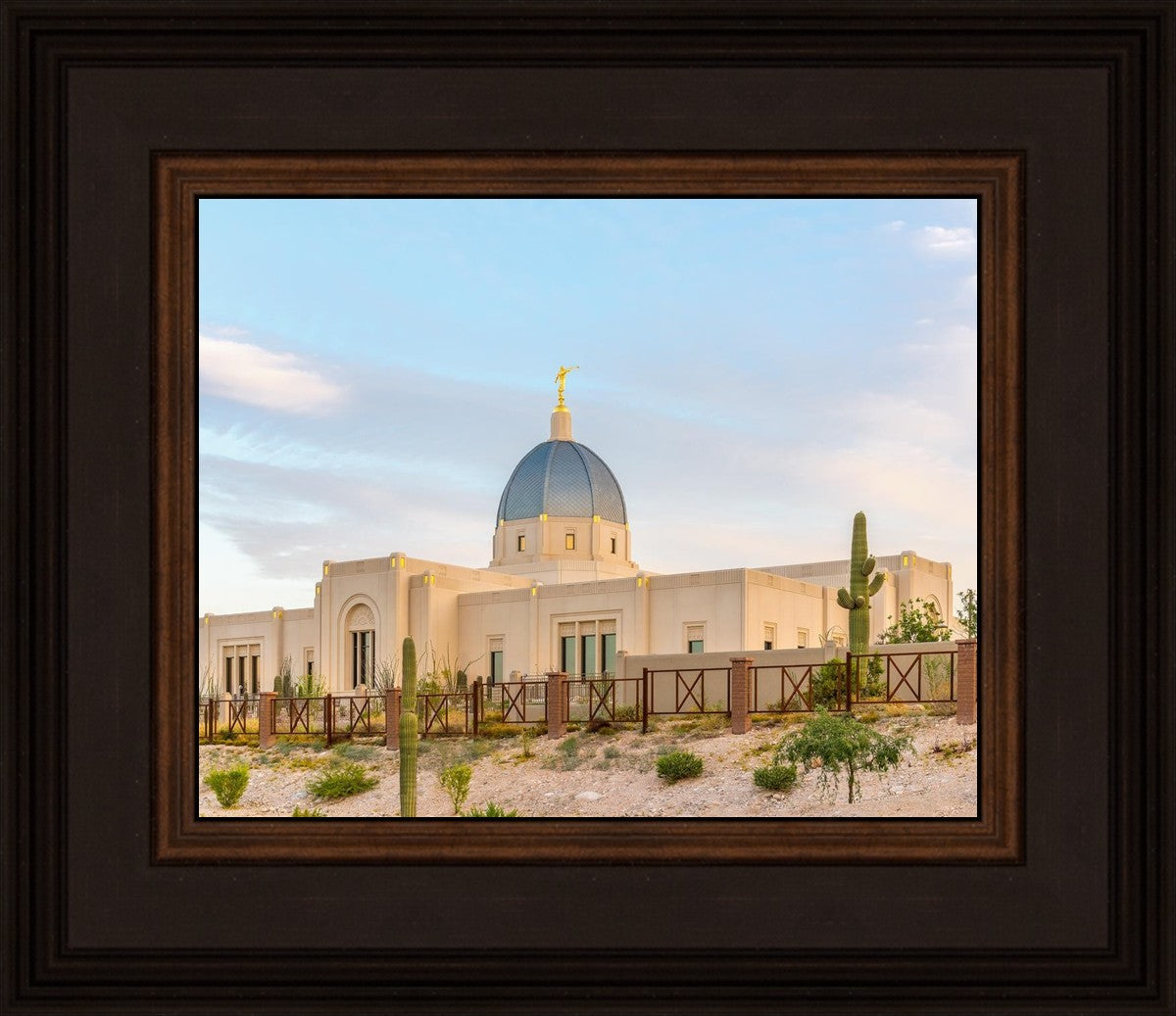 Tucson Peaceful Morning