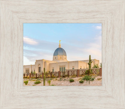 Tucson Peaceful Morning