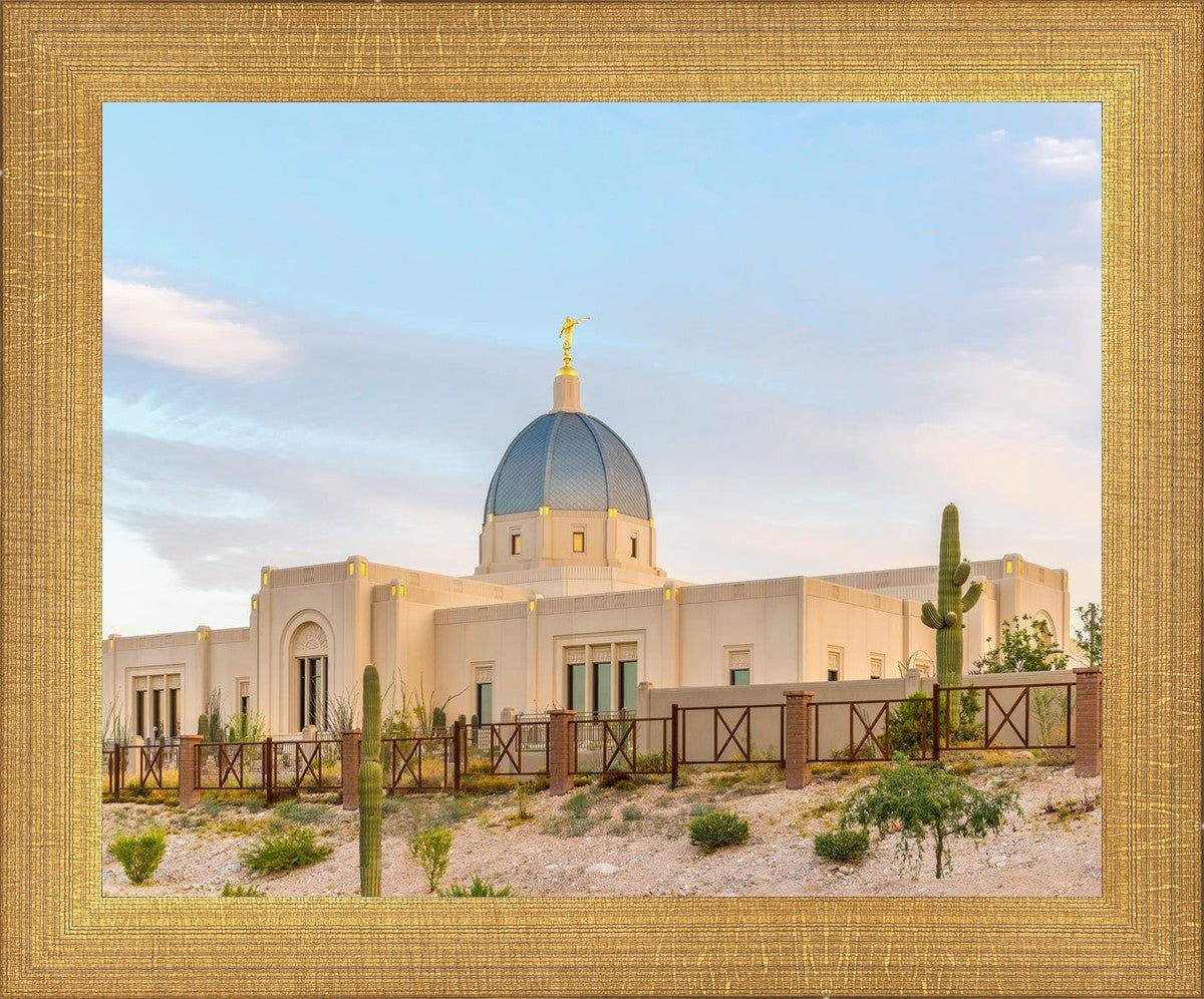 Tucson Peaceful Morning