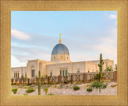 Tucson Peaceful Morning