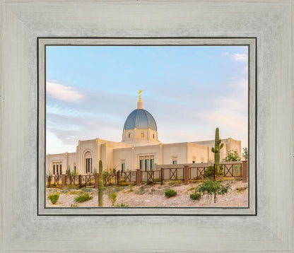 Tucson Peaceful Morning