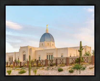 Tucson Peaceful Morning