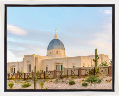 Tucson Peaceful Morning