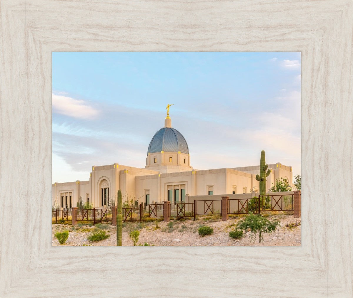 Tucson Peaceful Morning