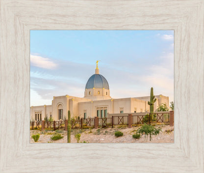 Tucson Peaceful Morning