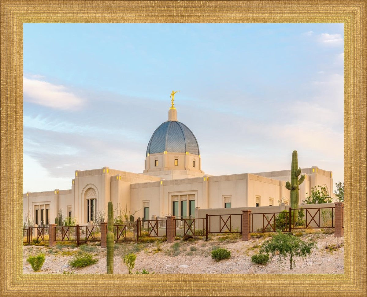 Tucson Peaceful Morning