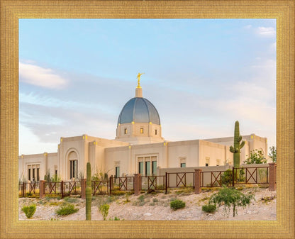 Tucson Peaceful Morning