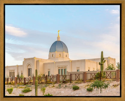 Tucson Peaceful Morning