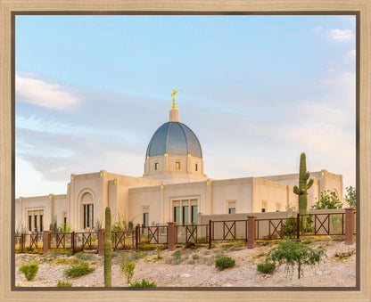 Tucson Peaceful Morning