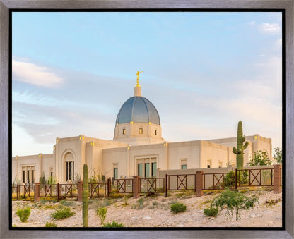 Tucson Peaceful Morning