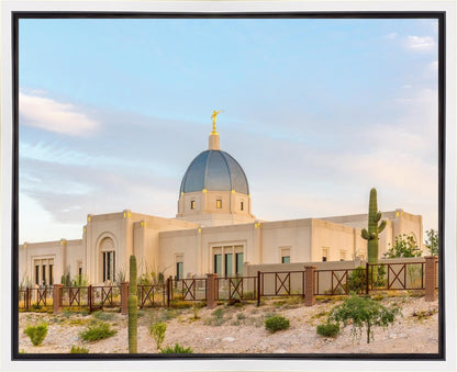 Tucson Peaceful Morning