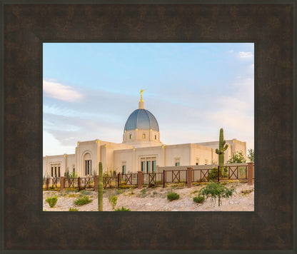 Tucson Peaceful Morning