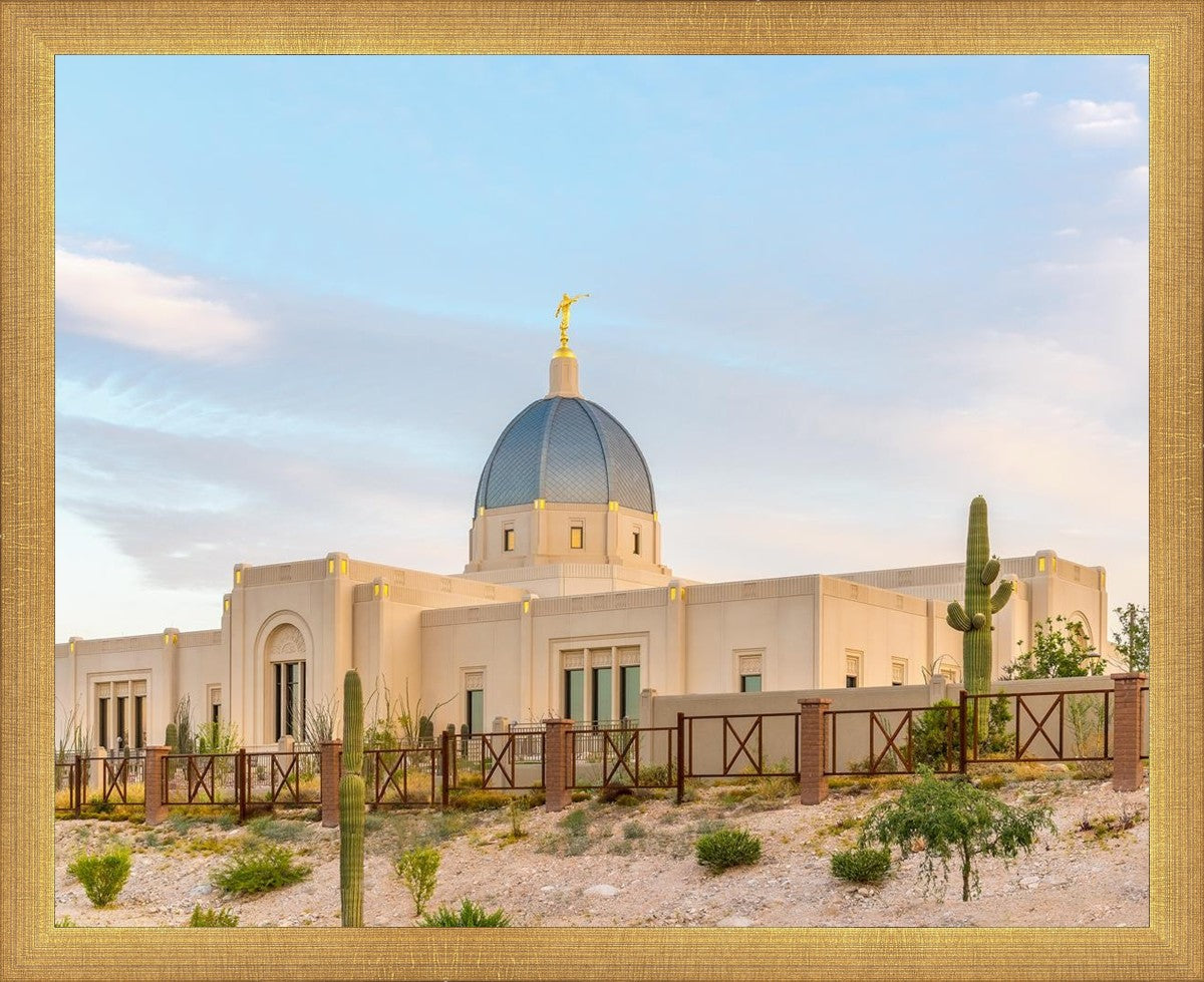 Tucson Peaceful Morning