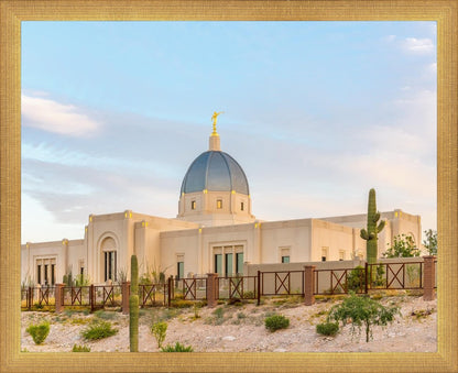 Tucson Peaceful Morning