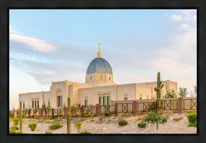 Tucson Peaceful Morning