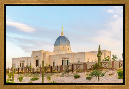 Tucson Peaceful Morning