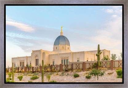 Tucson Peaceful Morning