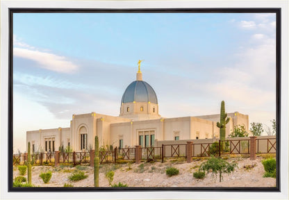 Tucson Peaceful Morning