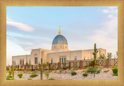 Tucson Peaceful Morning