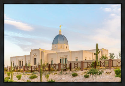 Tucson Peaceful Morning