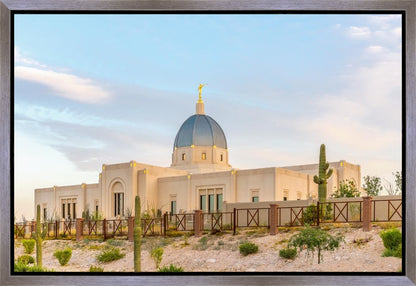 Tucson Peaceful Morning