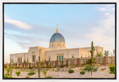 Tucson Peaceful Morning