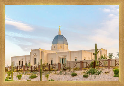 Tucson Peaceful Morning