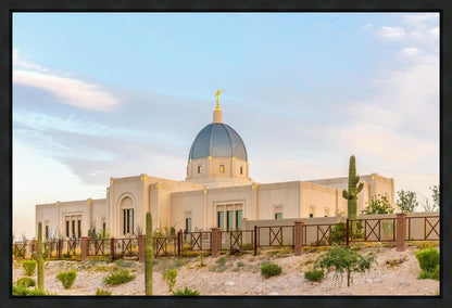 Tucson Peaceful Morning