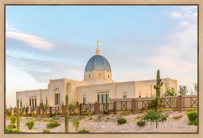 Tucson Peaceful Morning