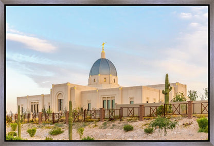 Tucson Peaceful Morning