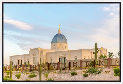 Tucson Peaceful Morning