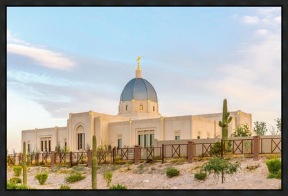 Tucson Peaceful Morning