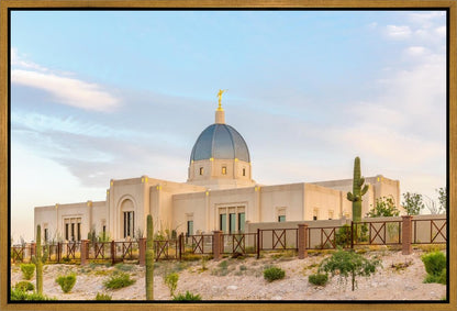 Tucson Peaceful Morning