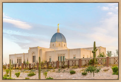 Tucson Peaceful Morning
