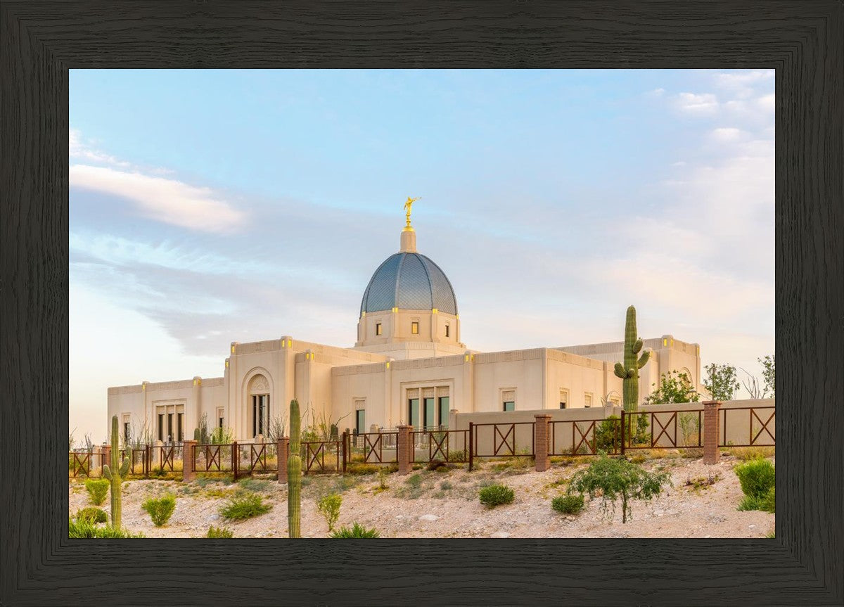 Tucson Peaceful Morning