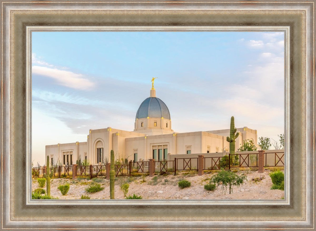 Tucson Peaceful Morning