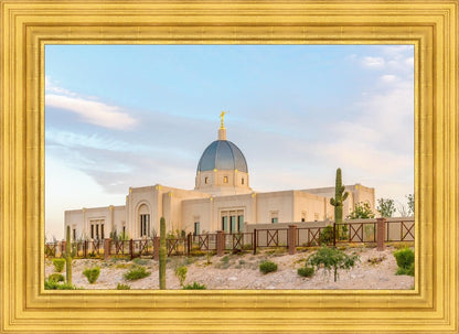 Tucson Peaceful Morning