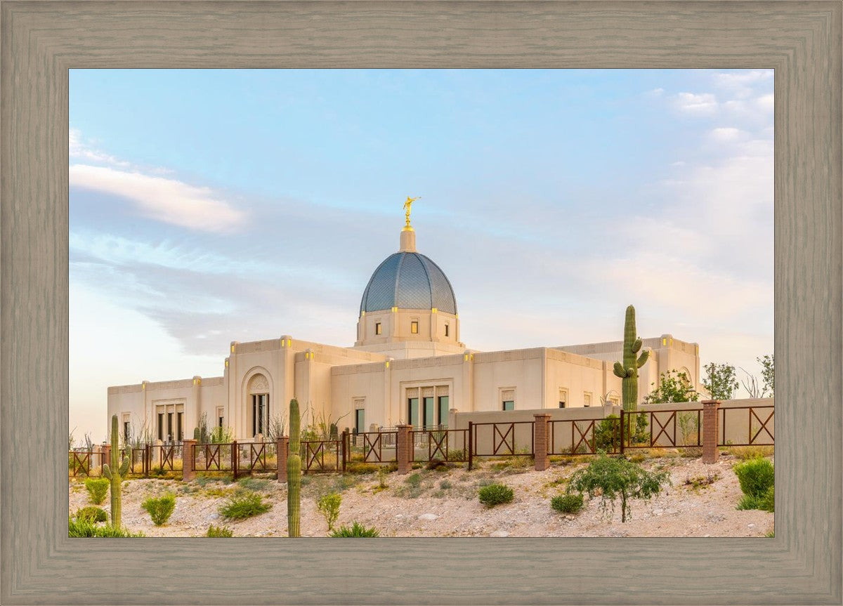 Tucson Peaceful Morning