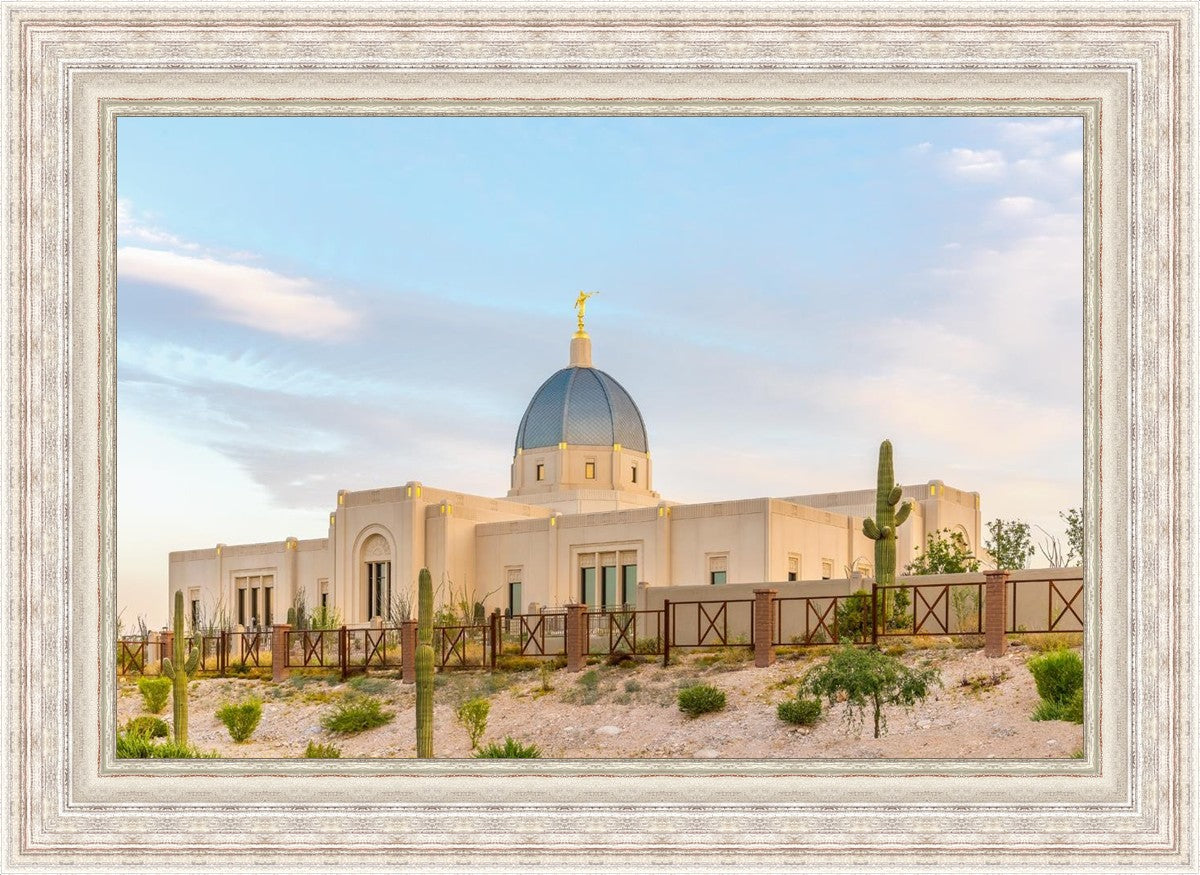 Tucson Peaceful Morning