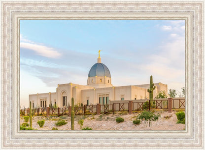 Tucson Peaceful Morning