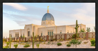 Tucson Peaceful Morning