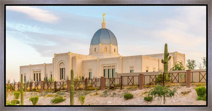 Tucson Peaceful Morning