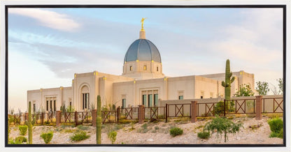 Tucson Peaceful Morning