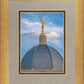 Tucson Moroni Dome