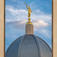 Tucson Moroni Dome